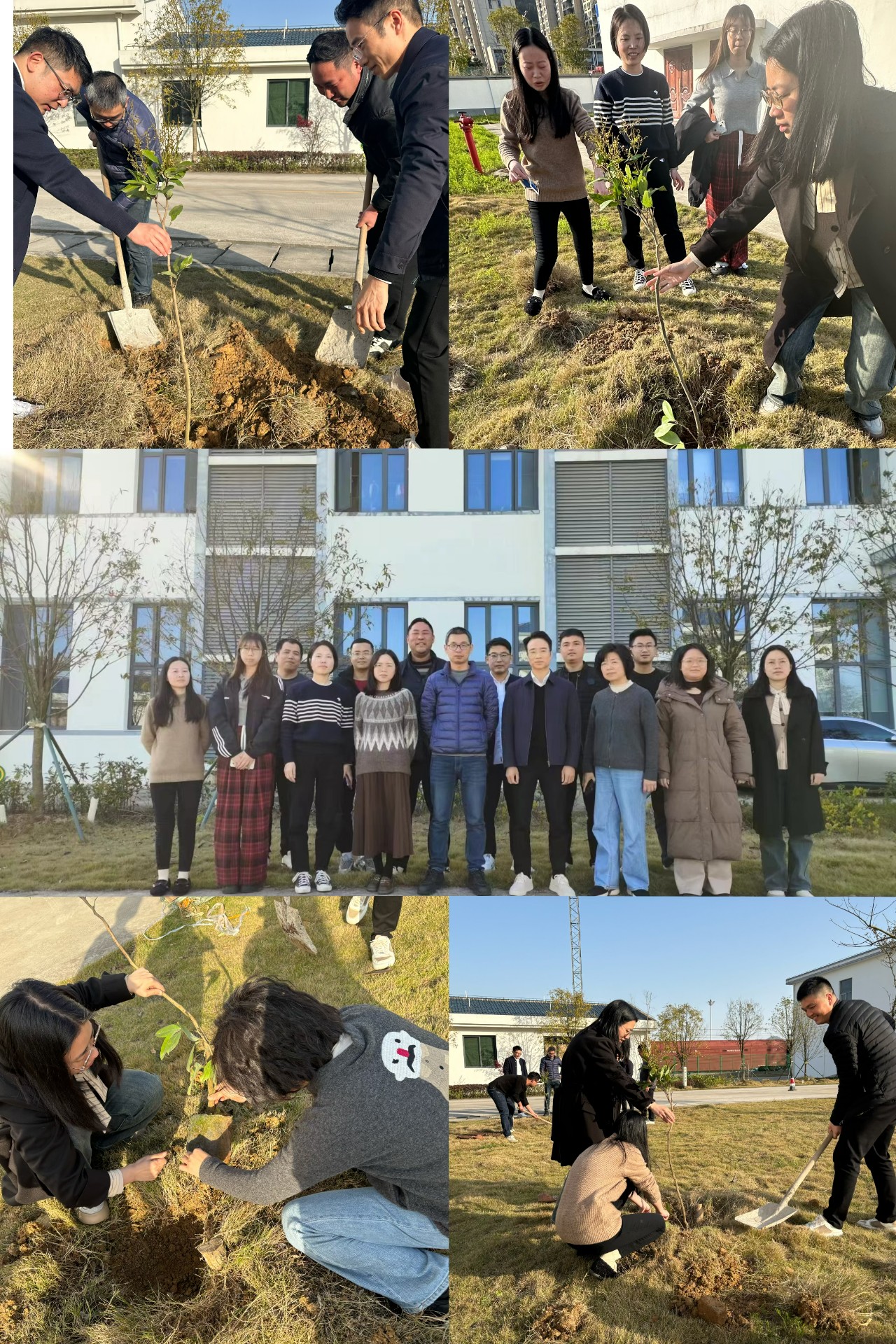 2024-3-12綠色陸港，美麗寧德，阮克妙拍攝.jpg